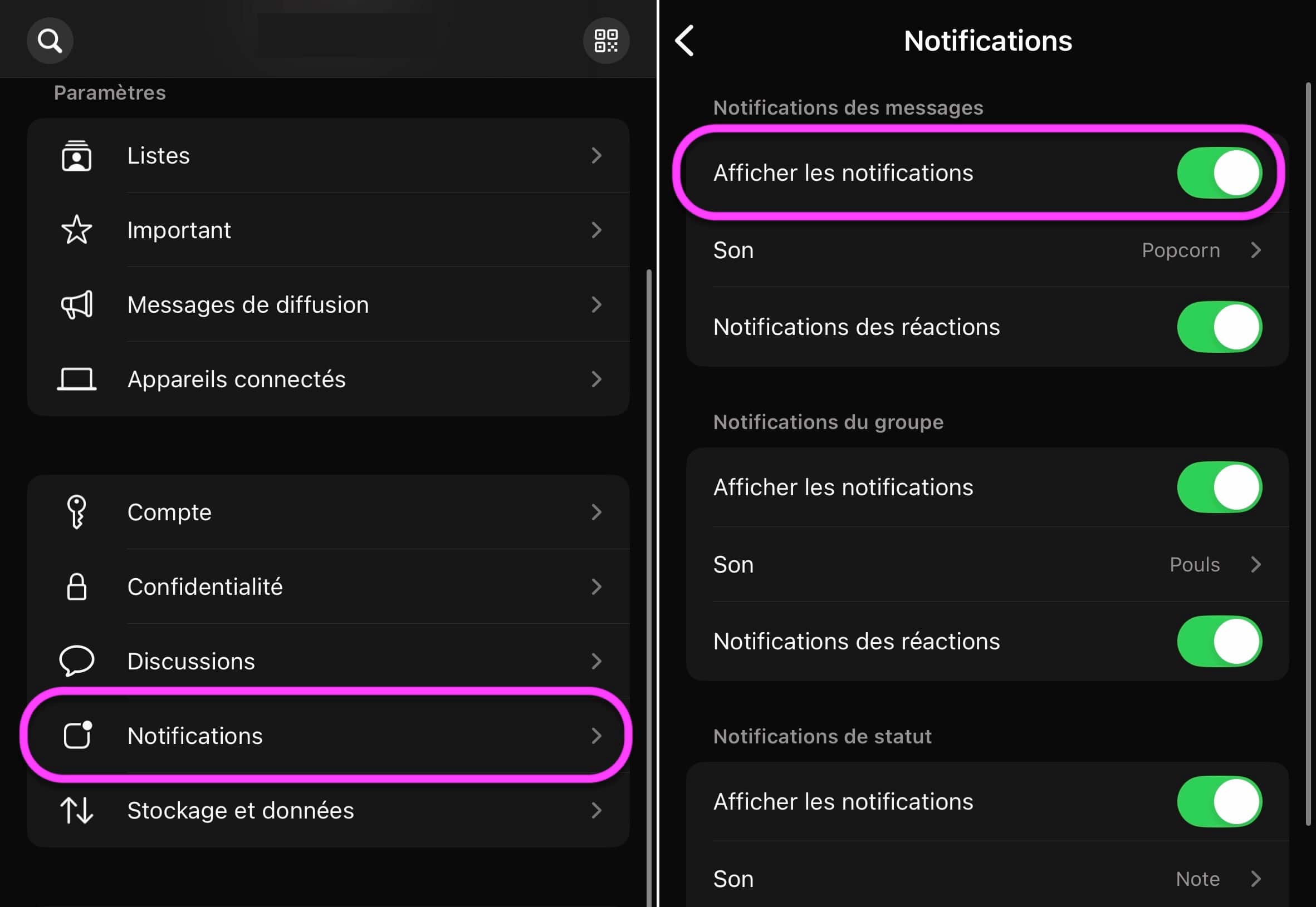 WhatsApp notifications afficher