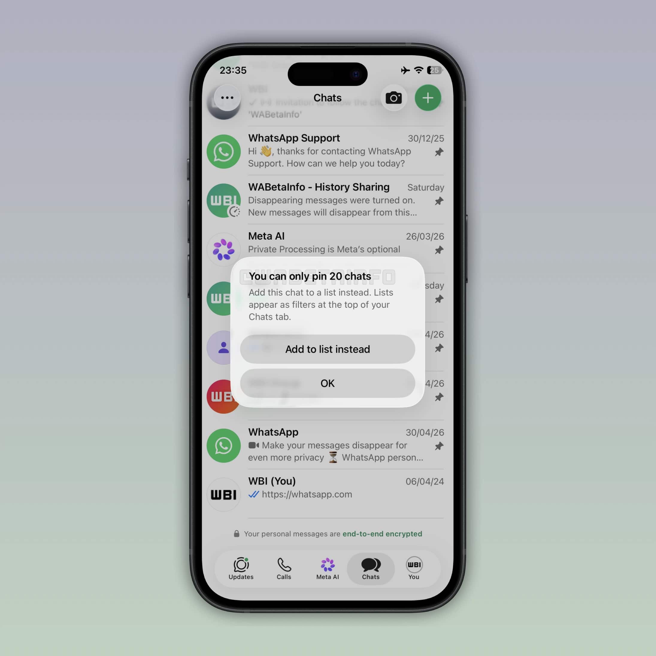iPhone WhatsApp Plus