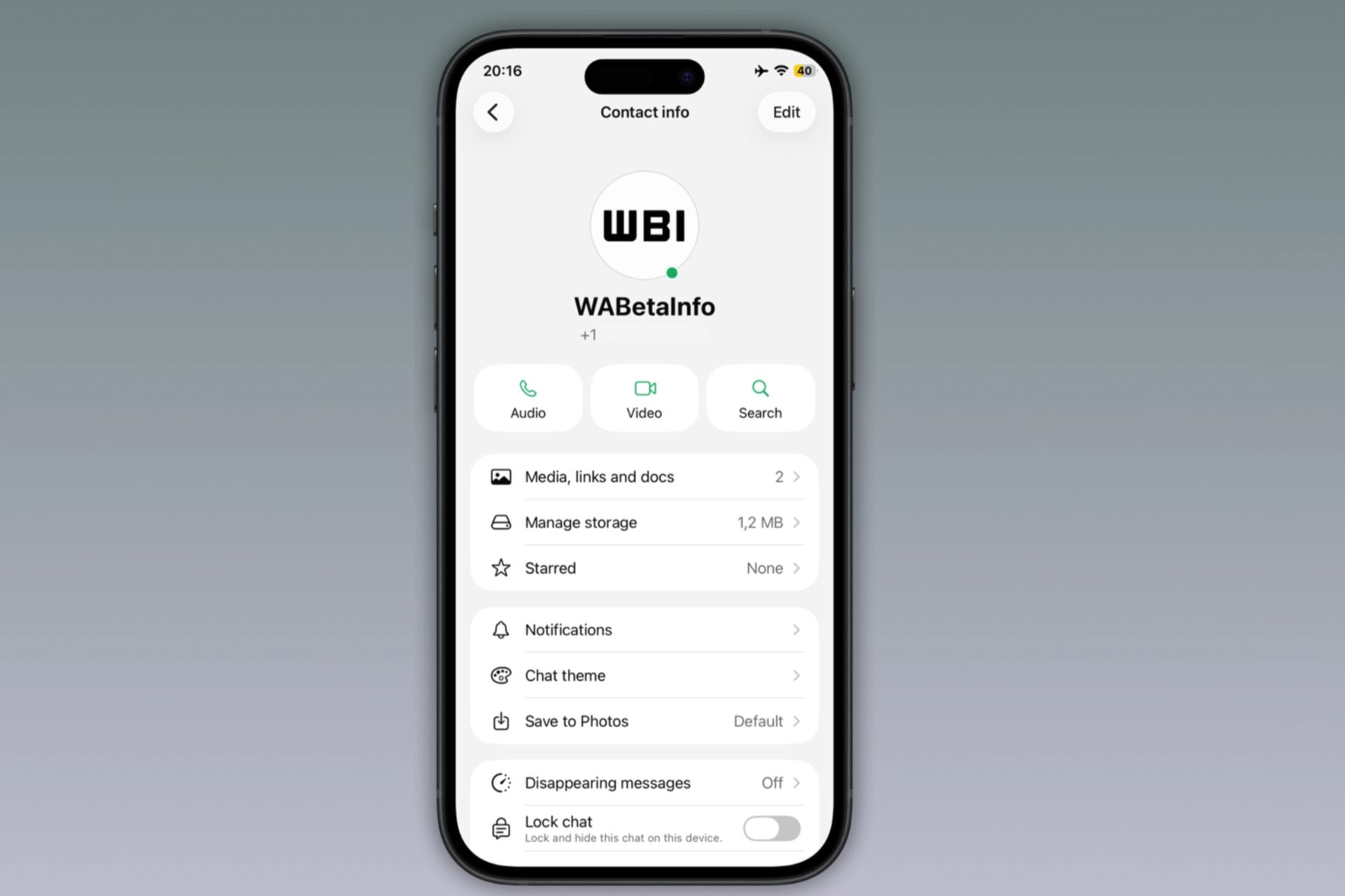 Badge vert whatsapp applications iPhone