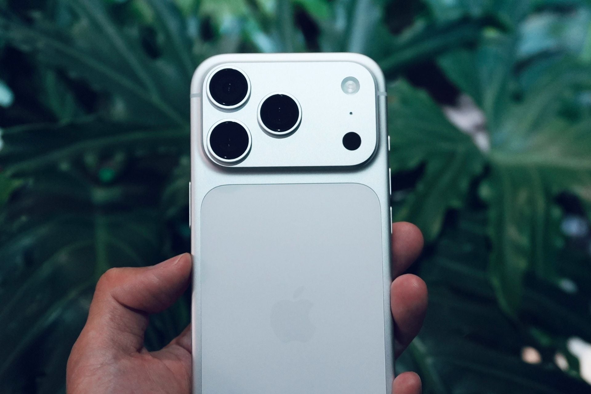 iPhone 17 Pro Max dos gris