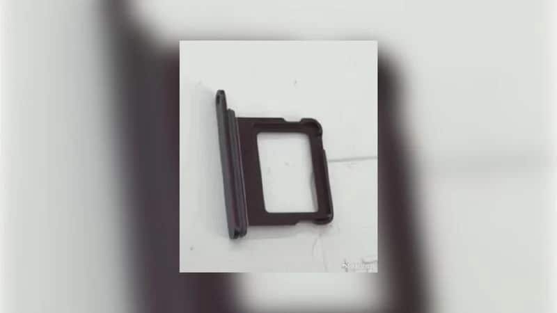 iPhone 18 Pro Dark Cherry