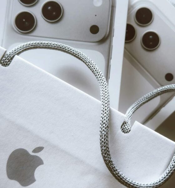 Apple iPhone sac