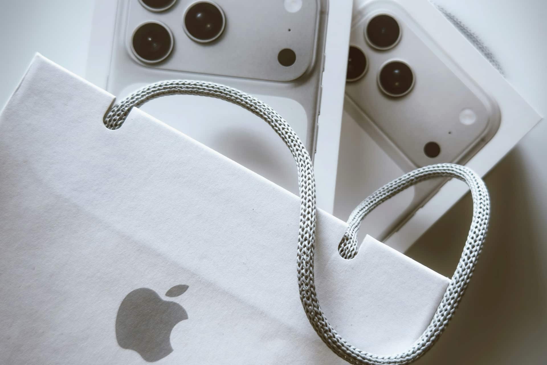 Apple iPhone sac