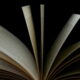 Livre ouvert page papier (1)