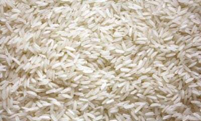 Riz blanc
