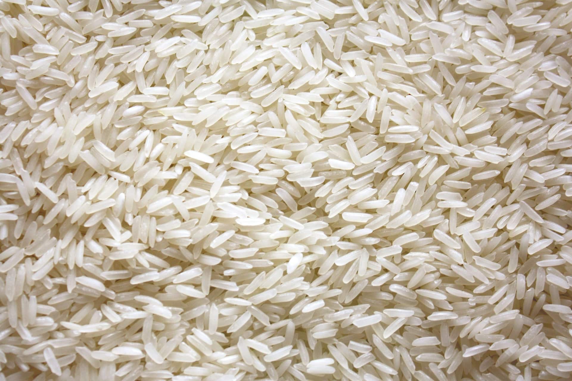 Riz blanc