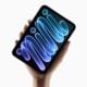 iPad mini OLED
