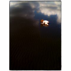 photo-iphone-1.jpg, mar 2009 photo-iphone-1.jpg