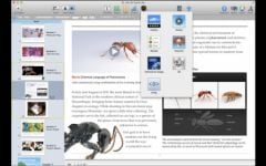 conference-education-apple-2.jpg, 2011 conference-education-apple-2.jpg