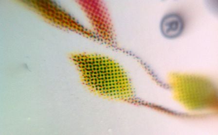 macro-2.jpg, 2011 macro-2.jpg