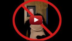 vvs-contre.jpg, 2011 vvs-contre.jpg