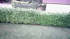 drone-w100-2.jpg, 2011 drone-w100-2.jpg