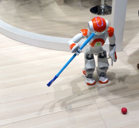 innorobo-nao-robots-3.jpg, 2011 innorobo-nao-robots-3.jpg
