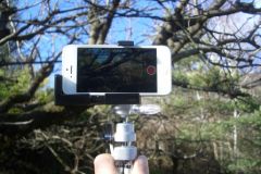 test-avis-support-photo-iphone-13.jpg, 2011 test-avis-support-photo-iphone-13.jpg