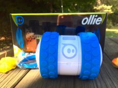 test-ollie-6.jpg, 2011 test-ollie-6.jpg