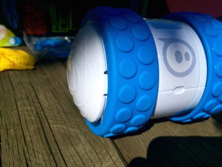 test-ollie-8.jpg, 2011 test-ollie-8.jpg