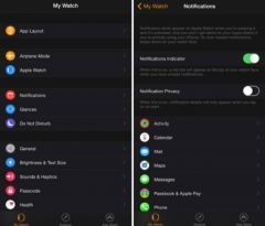 ecran-appli-apple-watch-iphone-1.jpg, 2015 ecran-appli-apple-watch-iphone-1.jpg