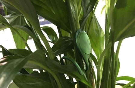 mind-every-garden-meg-iphone-1.jpg, 2011 mind-every-garden-meg-iphone-1.jpg