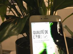 mind-every-garden-meg-iphone-2.jpg, 2015 mind-every-garden-meg-iphone-2.jpg