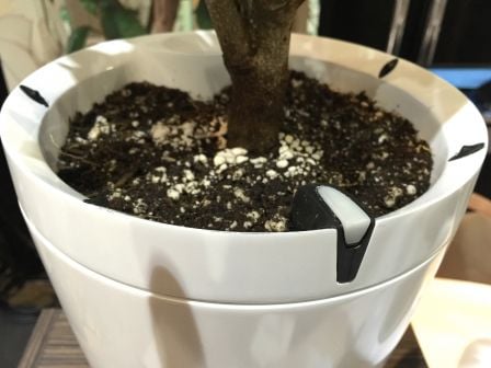 parrot-h20-pot-iphone-1.jpg, 2011 parrot-h20-pot-iphone-1.jpg