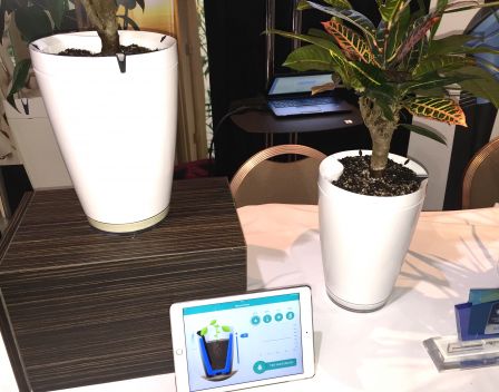 parrot-h20-pot-iphone-2.jpg, 2011 parrot-h20-pot-iphone-2.jpg