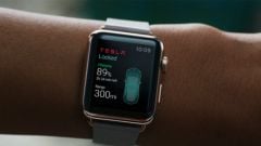photo-volee-apple-watch-4.jpg, 2015 photo-volee-apple-watch-4.jpg