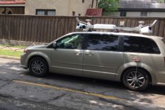 apple-street-view.jpg, 2015 apple-street-view.jpg