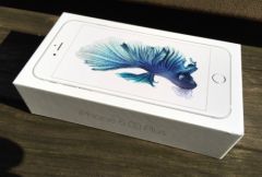 iphone-6s-plus-photo-1.jpg, 2015 iphone-6s-plus-photo-1.jpg