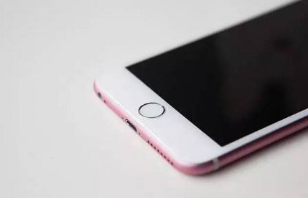 iphone-6s-rose-2.jpg, 2011 iphone-6s-rose-2.jpg