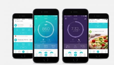 misfit-speedo-shine-2.jpg, 2011 misfit-speedo-shine-2.jpg