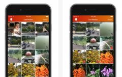 nettoyage-photo-live-lean-iphone-6s-3.jpg, 2015 nettoyage-photo-live-lean-iphone-6s-3.jpg