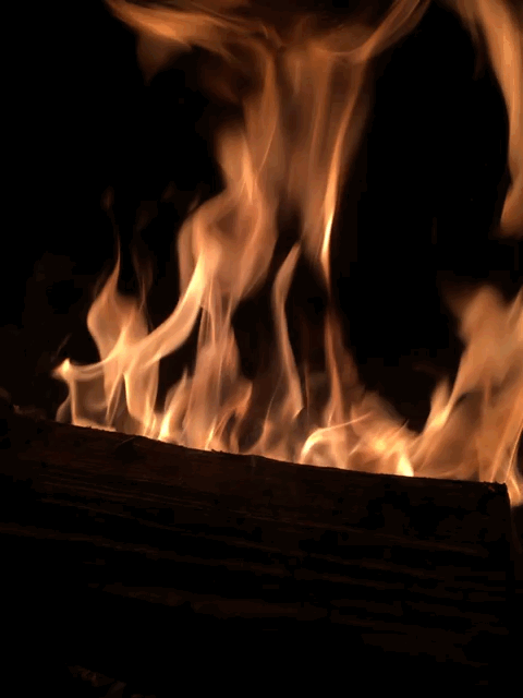 feu.gif, 2014 feu.gif