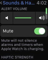 watch-os-2-beta-3-3.jpg, 2011 watch-os-2-beta-3-3.jpg