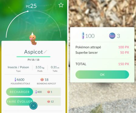 capture-de-pokemon.jpg, 2011 capture-de-pokemon.jpg