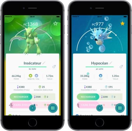 evolution-pokemon-gen-2-insecateur-hypocean-2.jpg, 2011 evolution-pokemon-gen-2-insecateur-hypocean-2.jpg