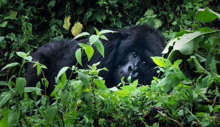 exemple-photo-iphone-7-2.jpg, 2011 exemple-photo-iphone-7-2.jpg