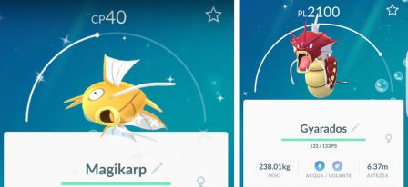 pokemon-chromatiques-shiny-leviator-magicarpe.jpg, 2011 pokemon-chromatiques-shiny-leviator-magicarpe.jpg