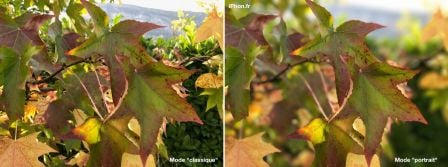 test-iphone-7-comparatif-portrait-classique.jpg, 2011 test-iphone-7-comparatif-portrait-classique.jpg