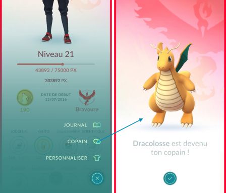 comment-associer-copain-ami-pokemon.jpg, 2011 comment-associer-copain-ami-pokemon.jpg