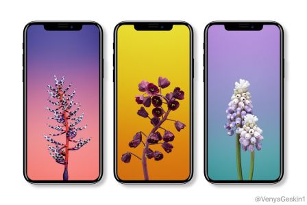 fond-ecran-iphone-8-iphone-X-iphone-edition.jpg, 2011 fond-ecran-iphone-8-iphone-X-iphone-edition.jpg