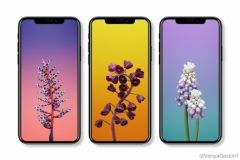 fond-ecran-iphone-8-iphone-X-iphone-edition.jpg, 2015 fond-ecran-iphone-8-iphone-X-iphone-edition.jpg