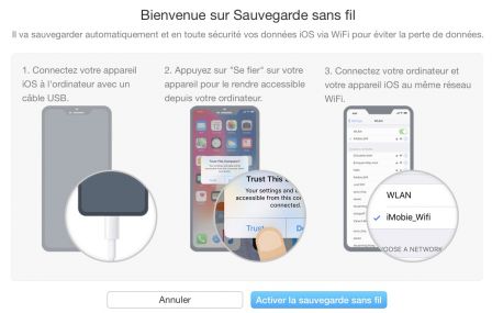 anytrans-sauvegarde.jpg, 2011 anytrans-sauvegarde.jpg