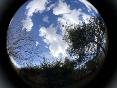 fisheye.jpg, 2011 fisheye.jpg