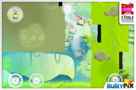 kungfurabbit-1.jpg, 2012 kungfurabbit-1.jpg