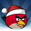 Angry_Birds_Noel.jpg, nov. 2010 Angry_Birds_Noel.jpg