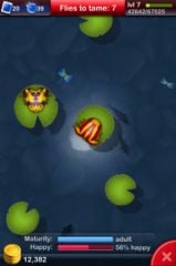 Pocket_Frogs_02.jpg, nov. 2010 Pocket_Frogs_02.jpg