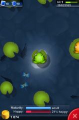 Pocket_Frogs_07.jpg, nov. 2010 Pocket_Frogs_07.jpg