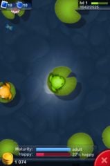 Pocket_Frogs_08.jpg, nov. 2010 Pocket_Frogs_08.jpg