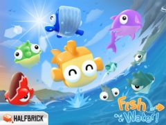 fish-1.jpg