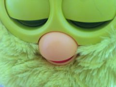 prfurby-11.jpg